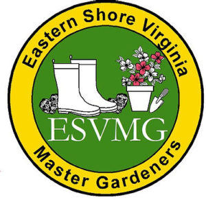 Eastern Shore of Virginia Master Gardener logo