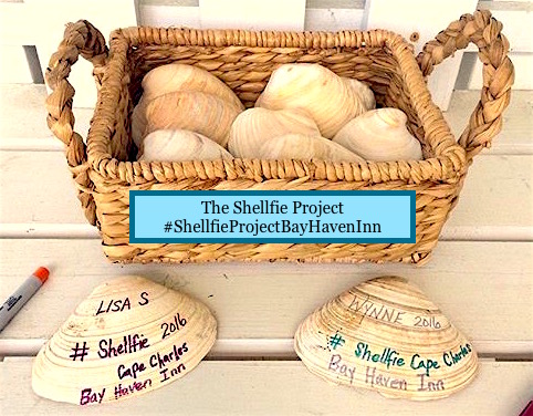 Shellfie basket