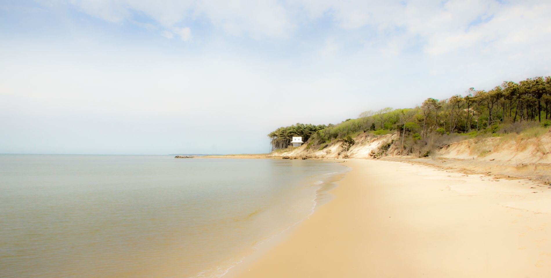 The shoreline at the Savage Neck Dunes Nature Preserve