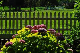 gardens at Eyre Hall