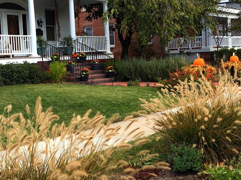 whispy grass and porch